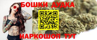 индика Будённовск