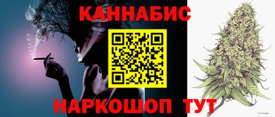 индика Будённовск