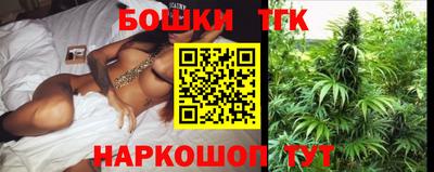 индика Будённовск