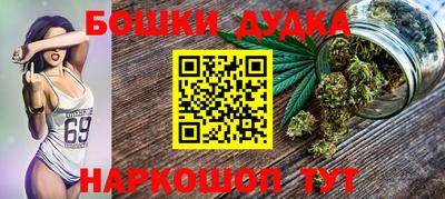 индика Будённовск