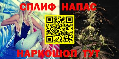 индика Будённовск
