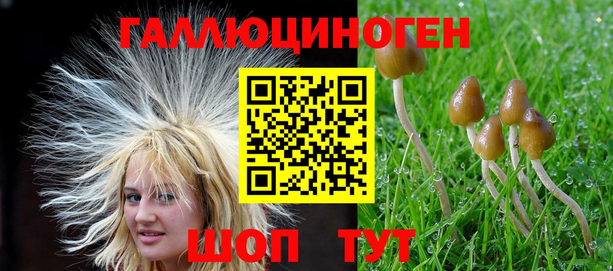 Псилоцибиновые грибы MAGIC MUSHROOMS Мурманск