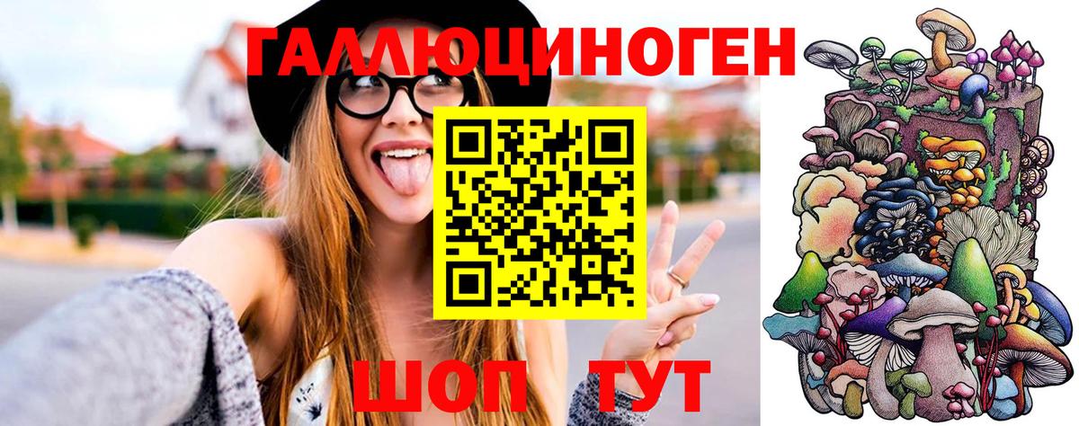 Мурманск  Псилоцибиновые грибы GOLDEN TEACHER  Вход с VPN 